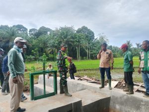 Peningkatan Hasil Tani: Optimasi Lahan Non Rawa di Aceh Tamiang